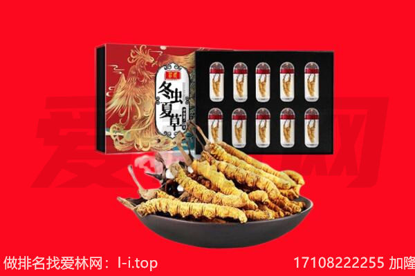 吴忠同心县回收虫草.jpg